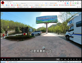 保利哥主播照片