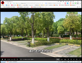 保利哥主播照片