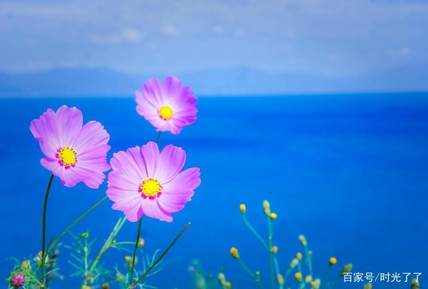 幸福美满！✌的图片