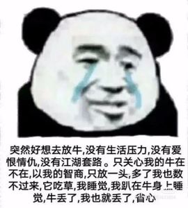 一树梨花压海唐同学☞主播照片