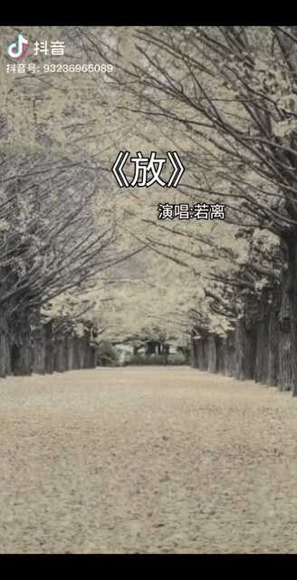 该放下就放下吧