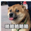 ♚~小巴豆~贪财好色的图片