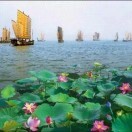 屈宏博海报