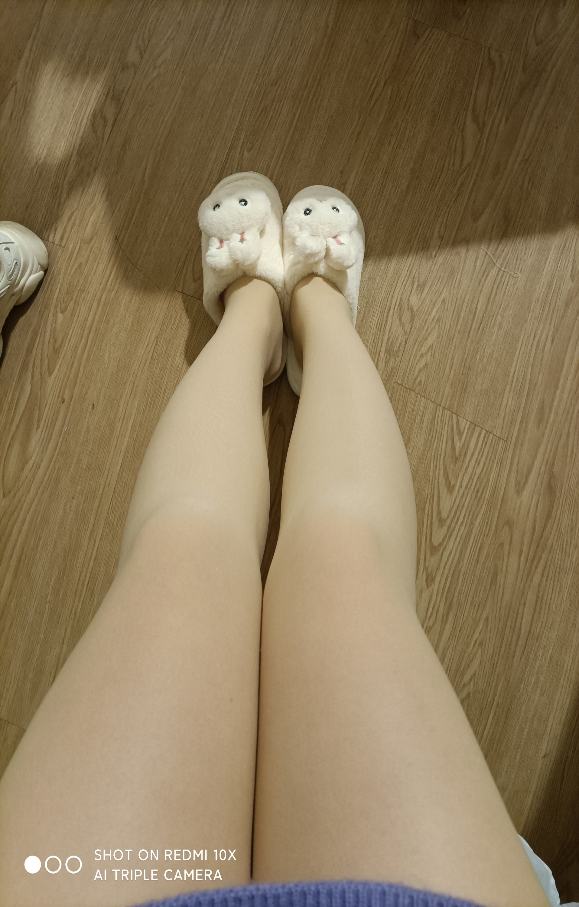 初一吖🐣的图片