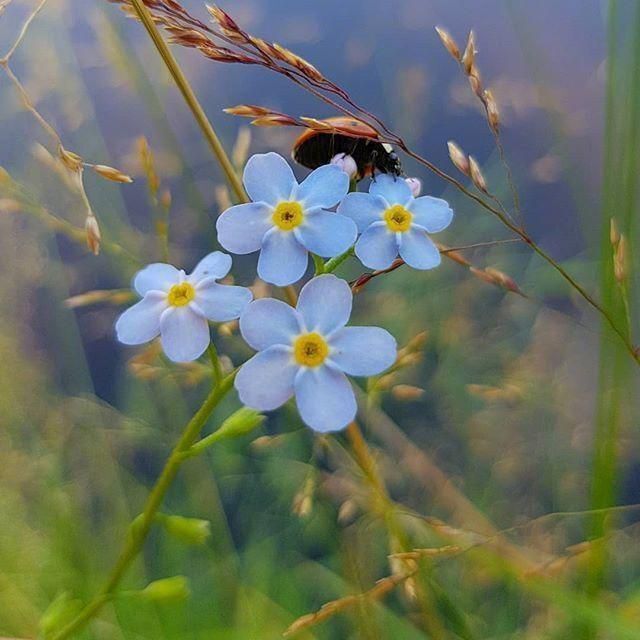 玟玟🌸的图片