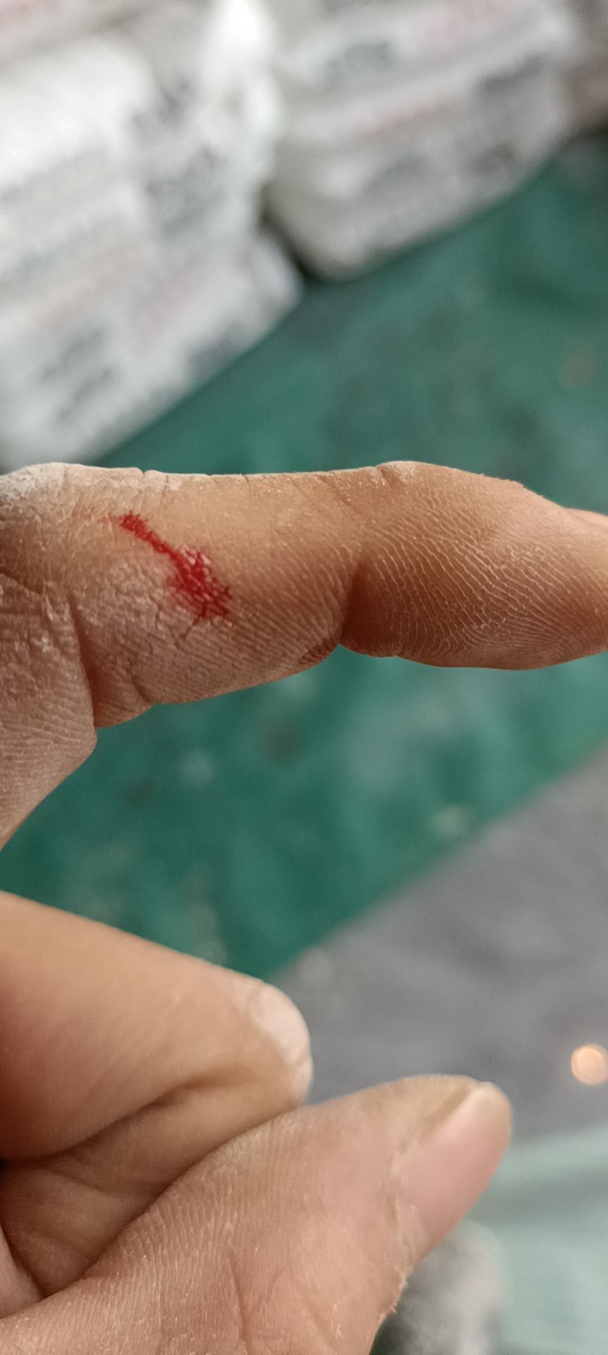 空灵兔的主播照片