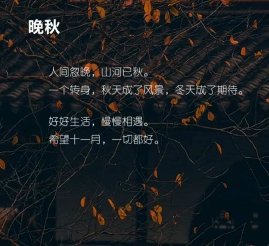 此账号已注销的图片