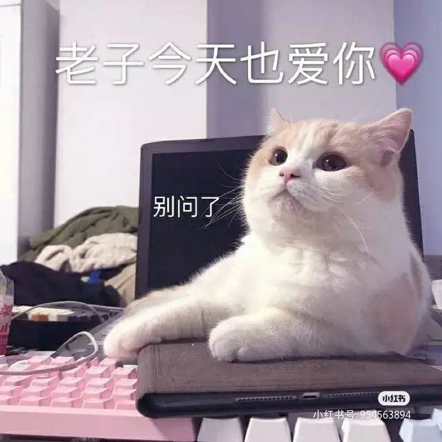 一树梨花压海唐同学☞的图片