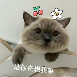 bye～主播照片