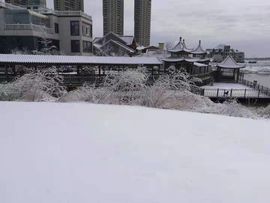 雪菜♫好运好运旺主播照片