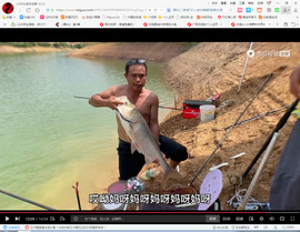 保利哥主播照片
