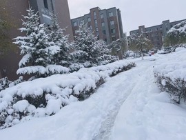 小雅代理ღ好运来主播照片