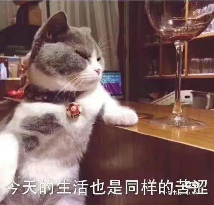 一树梨花压海唐同学☞的图片
