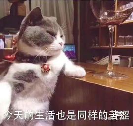 一树梨花压海唐同学☞主播照片
