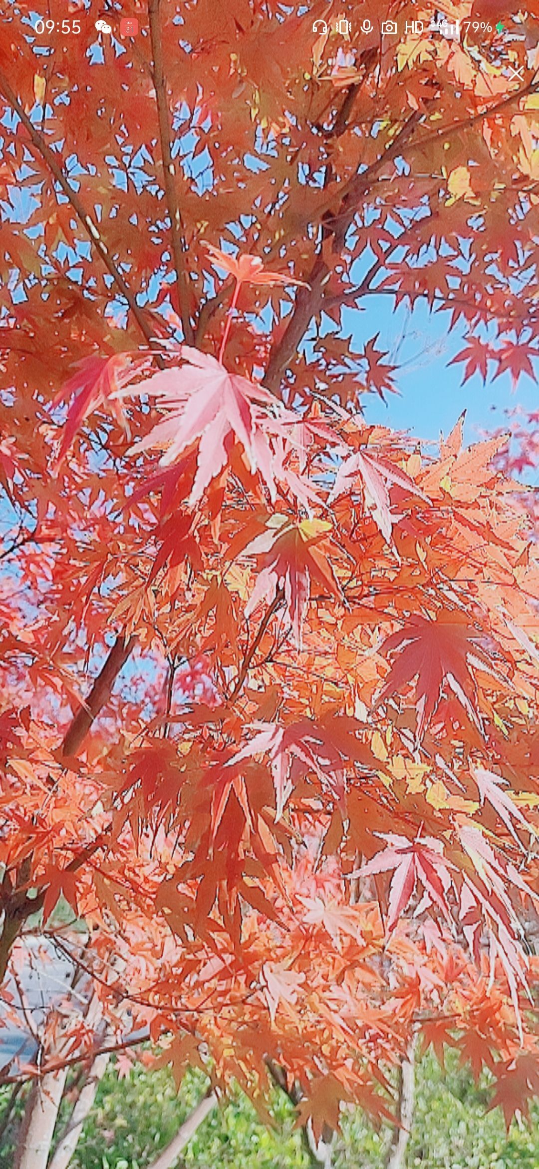 婷婷💕感恩有你陪伴的图片