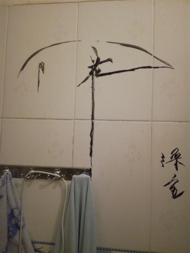风6j*的主播照片