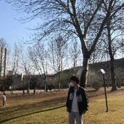 木东618.