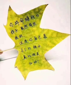 დ释怀დ主播照片