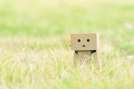 陌拾叁。主播照片
