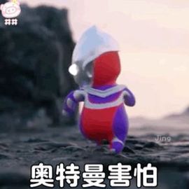 阳阳💕晚上见主播照片