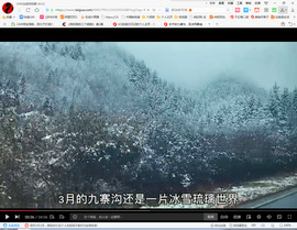 保利哥主播照片