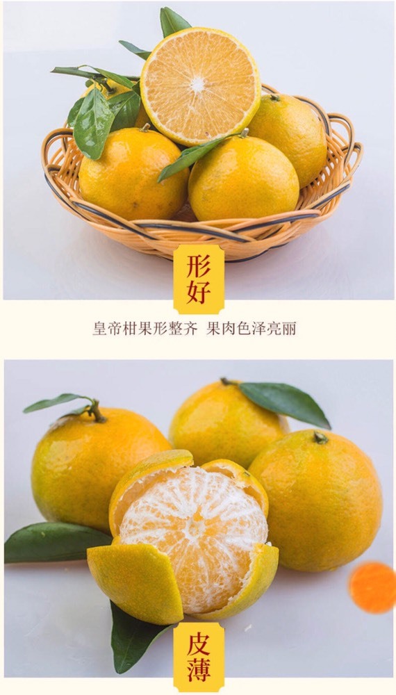 🍊小布布的图片