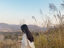 南星🍀的图片