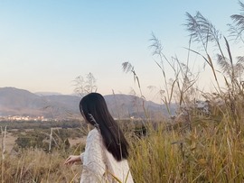 南星🍀主播照片