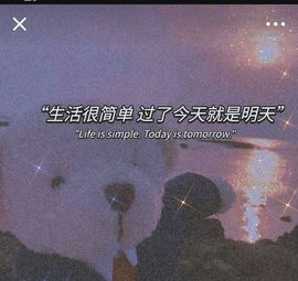 星宸💖执念成殇主播照片