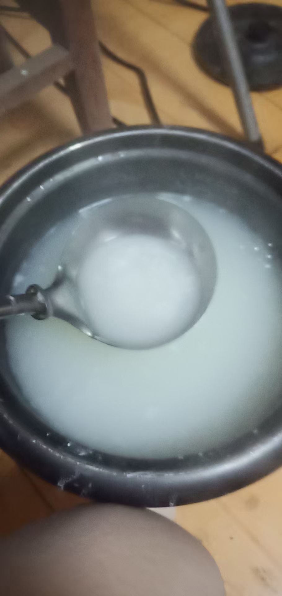 果果(平安好运)的图片