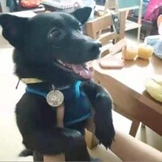 普信哥哥