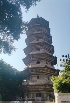 新人风玲求升级主播照片