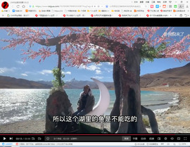 保利哥主播照片