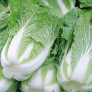 我家没有法拉利海报