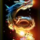 点金d