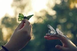 🌼阳阳得意🌼主播照片