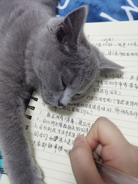 阳阳💕晚上见主播照片
