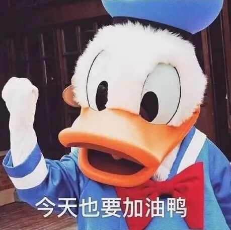 ?雅晴?的主播照片