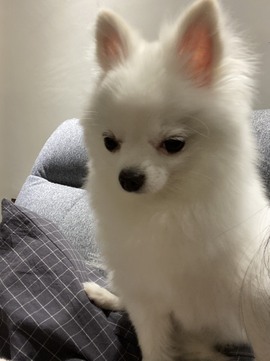 洋子～晚点见主播照片
