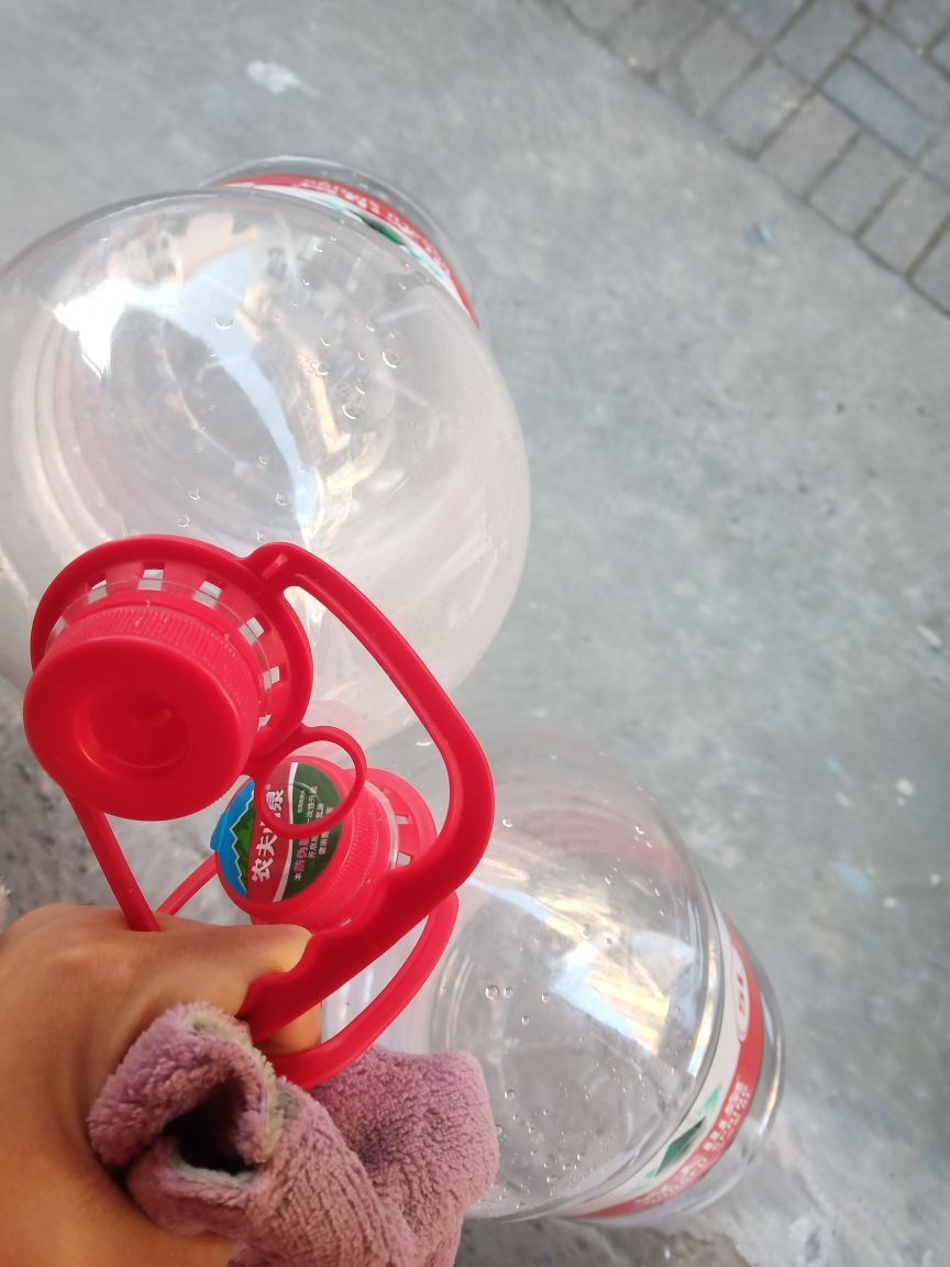 果果(平安好运)的图片