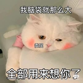 一树梨花压海唐同学☞主播照片