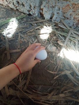 果果(平安好运)主播照片