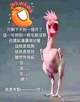 @一江東去@照片的图片