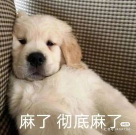 一树梨花压海唐同学☞主播照片