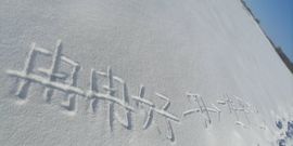 冉冉🍀好运来！的图片