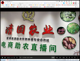 保利哥主播照片