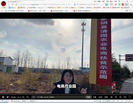 保利哥主播照片