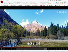 保利哥主播照片