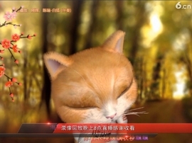 甜蜜未来乐在心怀主播照片