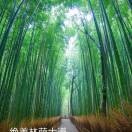 繁华落尽fg6